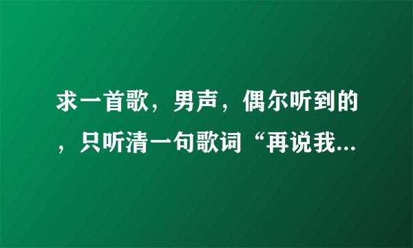 求一首歌，男声，偶尔听到的，只听清一句歌词“再说我爱你……”