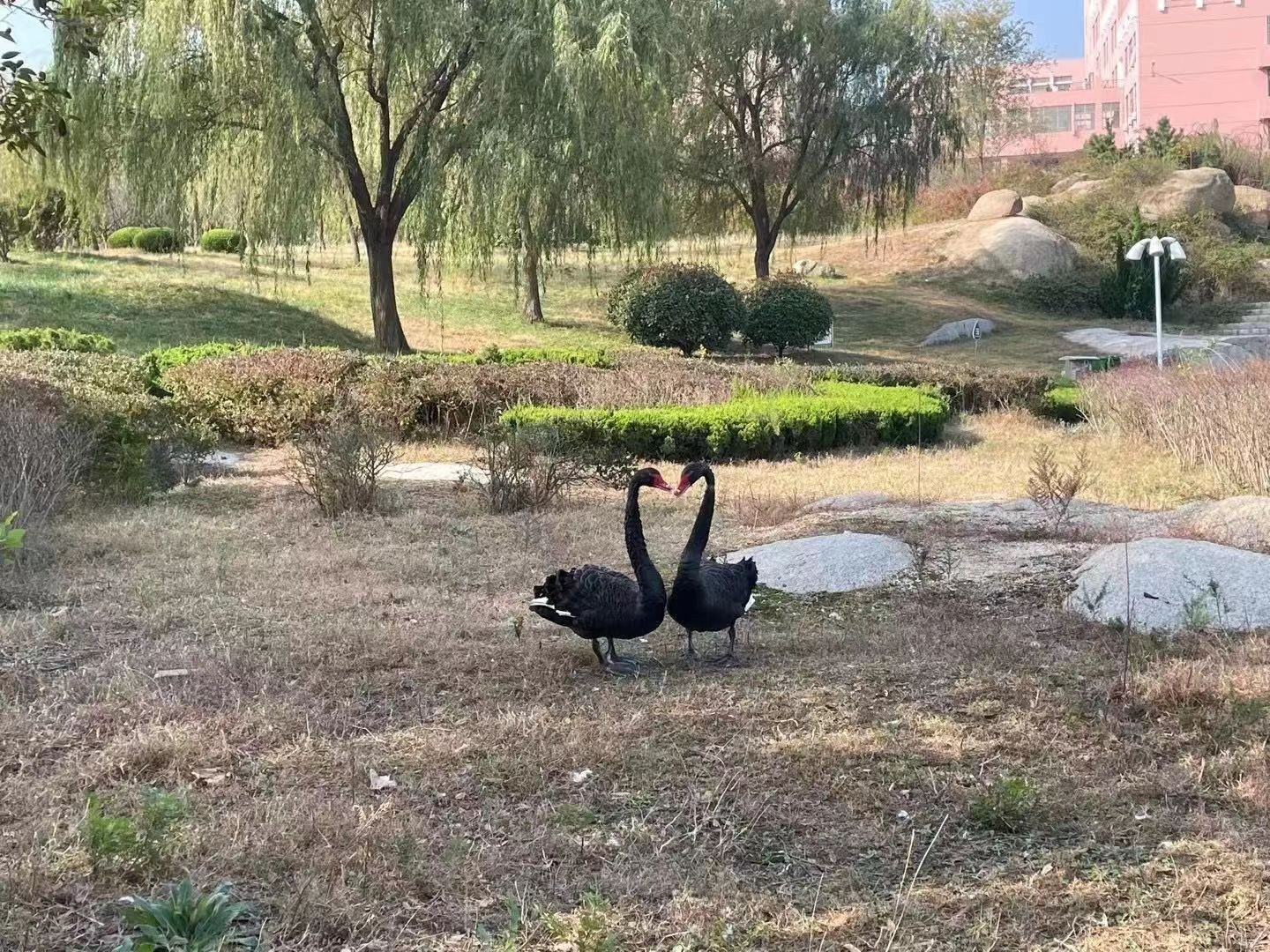 山东水利职业技术学院怎么样啊?