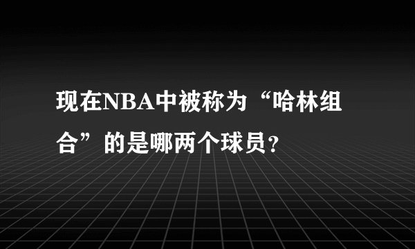 现在NBA中被称为“哈林组合”的是哪两个球员？
