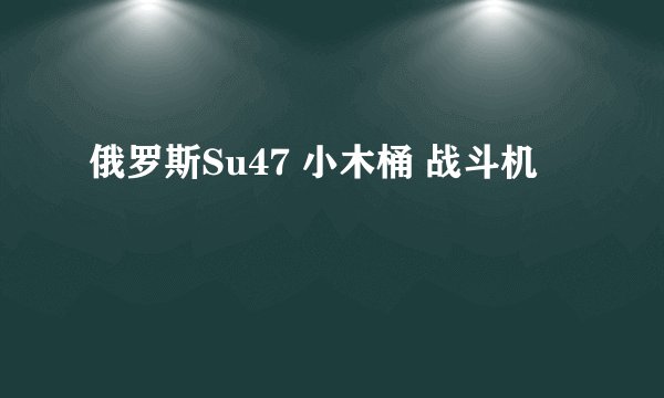 俄罗斯Su47 小木桶 战斗机