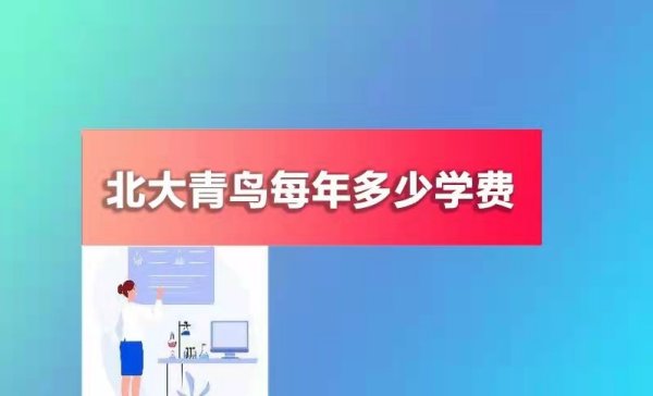 学北大青鸟一年要多少学费