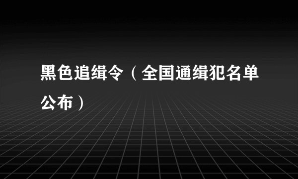 黑色追缉令（全国通缉犯名单公布）