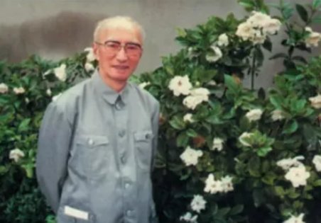 一只想飞的猫作家是谁