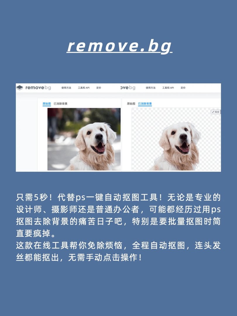 有没有免费的小众网站?