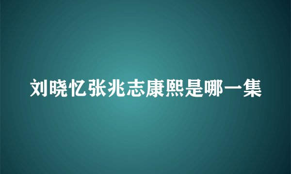 刘晓忆张兆志康熙是哪一集