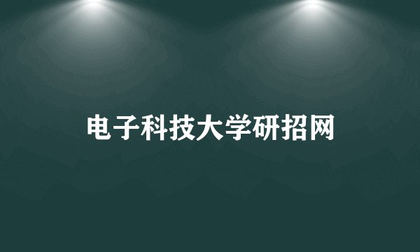 电子科技大学研招网