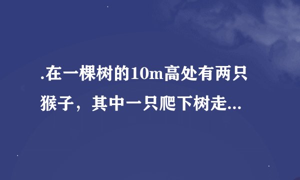.在一棵树的10m高处有两只猴子，其中一只爬下树走向离树20m的池塘，而另一只爬到树顶后直扑池塘。