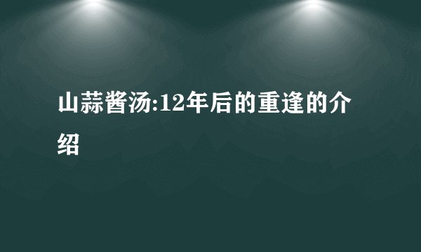 山蒜酱汤:12年后的重逢的介绍