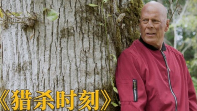 布鲁斯威利斯电影作品