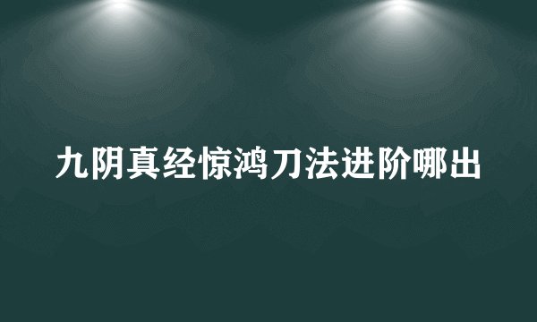 九阴真经惊鸿刀法进阶哪出