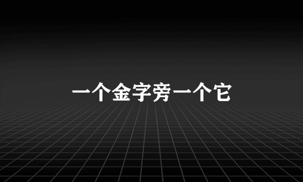 一个金字旁一个它