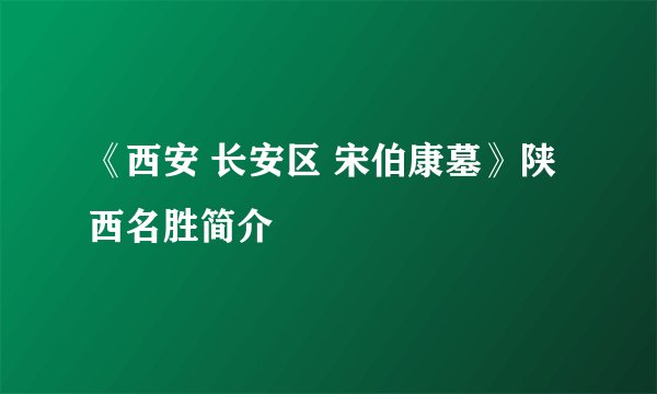 《西安 长安区 宋伯康墓》陕西名胜简介