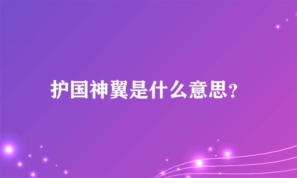 护国神翼是什么意思？