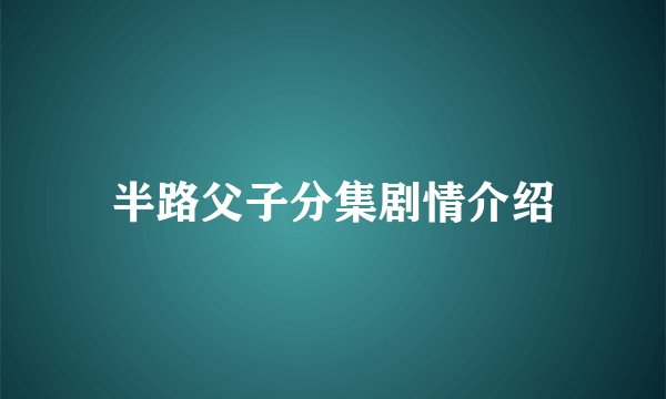 半路父子分集剧情介绍