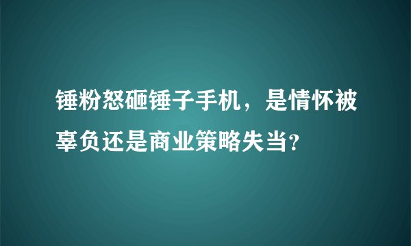 锤粉怒砸锤子手机，是情怀被辜负还是商业策略失当？