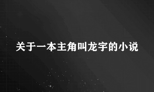 关于一本主角叫龙宇的小说