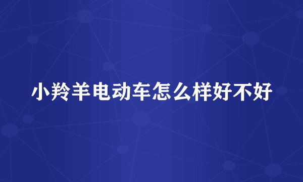 小羚羊电动车怎么样好不好