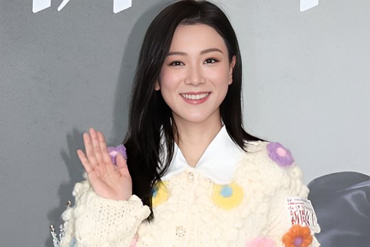 曾志伟儿媳妇是谁