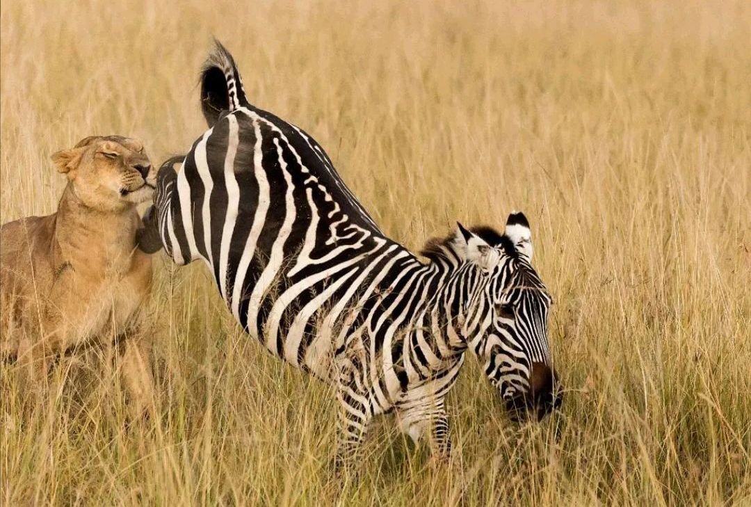 慌组词和拼音和部首