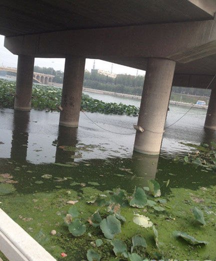 9·20河南挖眼抛尸案的介绍