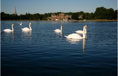 戴安娜王妃故居池塘发现女尸，遇害女子是如何身亡的？
