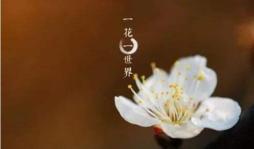 无穷般若心自在，语默动静体自然。是什么意思