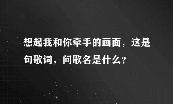 想起我和你牵手的画面，这是句歌词，问歌名是什么？