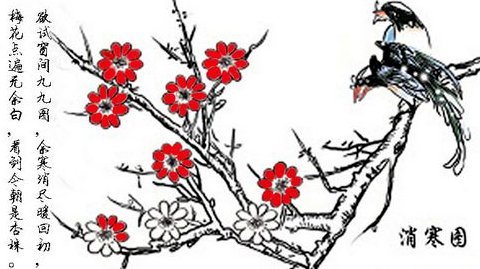 2020年从什么时候数九?