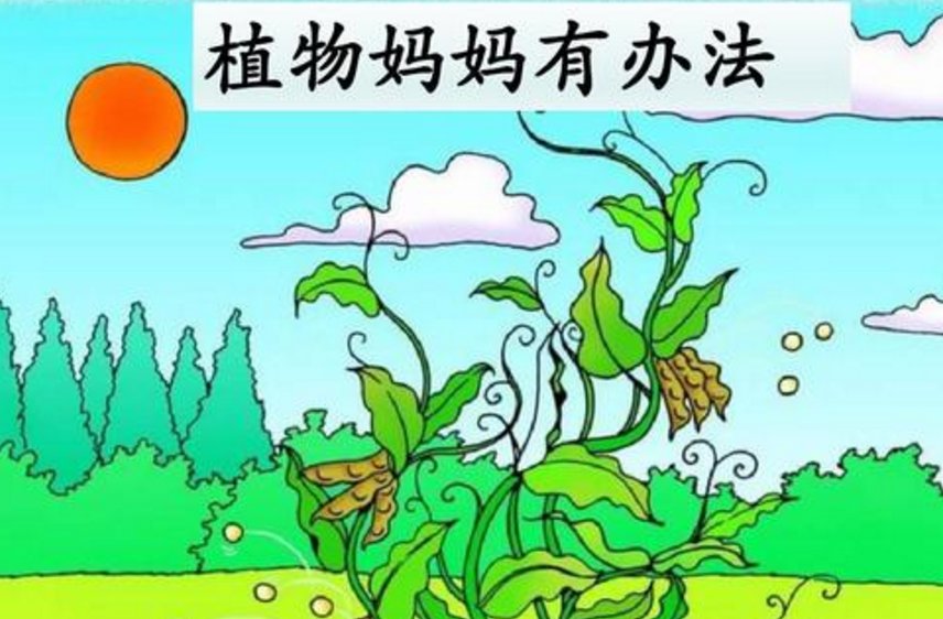 小学二年级语文上册第三课之 植物妈妈有办法,用什么来仿写?怎样写