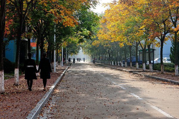 合肥私立高中排名前十名