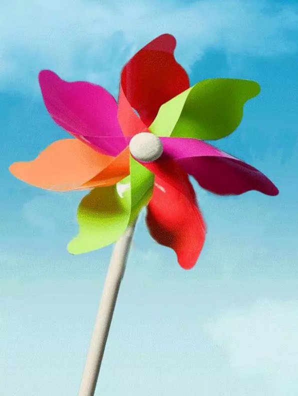 蓬户生晖的介绍