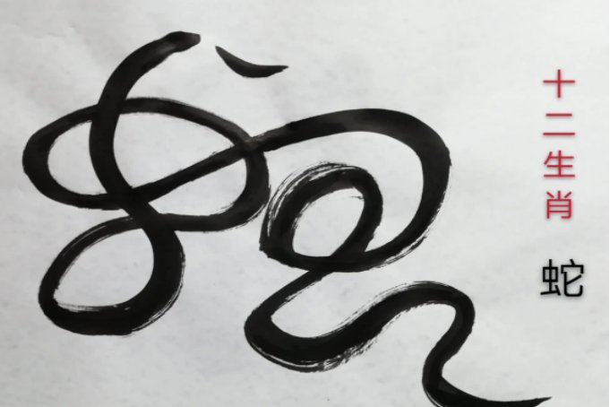 十二生肖排序图片