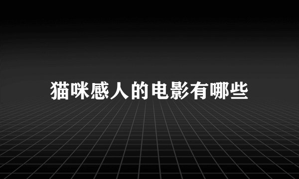 猫咪感人的电影有哪些