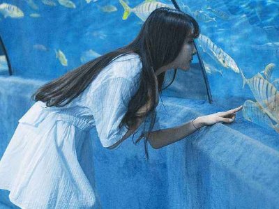 《蓝色大海的传说》在哪个app上可以看？