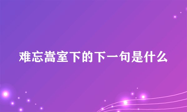 难忘嵩室下的下一句是什么