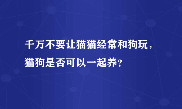 千万不要让猫猫经常和狗玩，猫狗是否可以一起养？