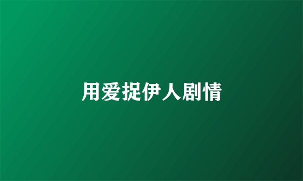 用爱捉伊人剧情