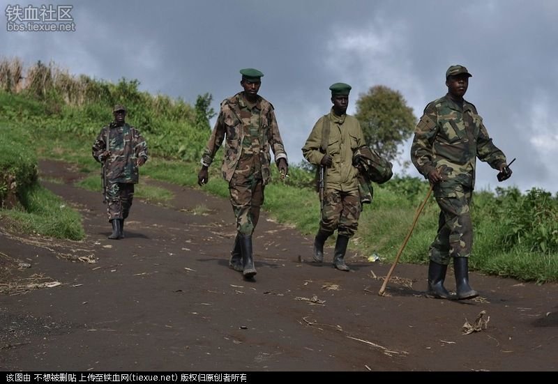 世界公敌孙悟空的内容简介
