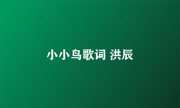 小小鸟歌词 洪辰