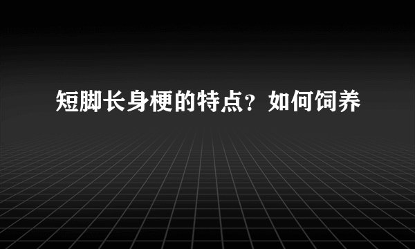 短脚长身梗的特点？如何饲养