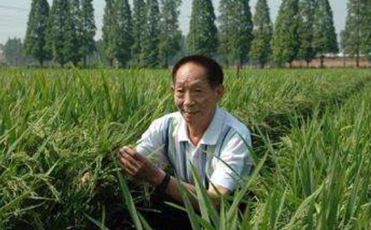 袁隆平是湖南人吗？