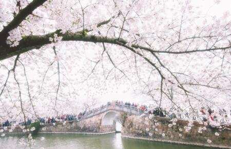 2022长春什么时候全面解封2022长春最新无疫情小区名单