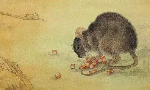 扇惑人心比喻什么生肖