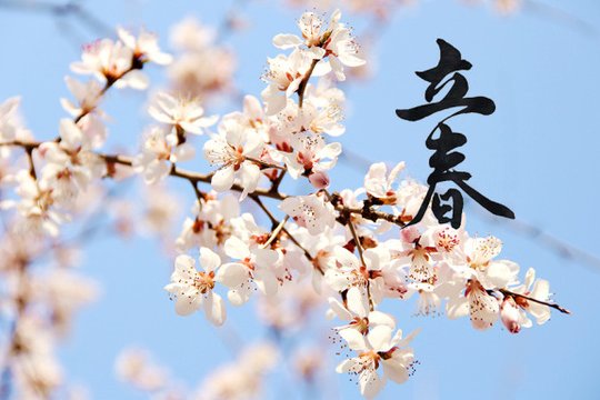 2024年打春具体时间是几点几分