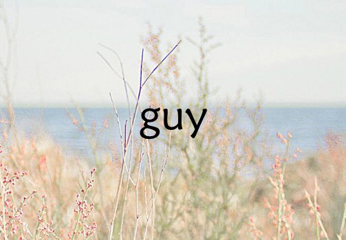 landing guy的中文意思是什么？