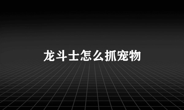 龙斗士怎么抓宠物