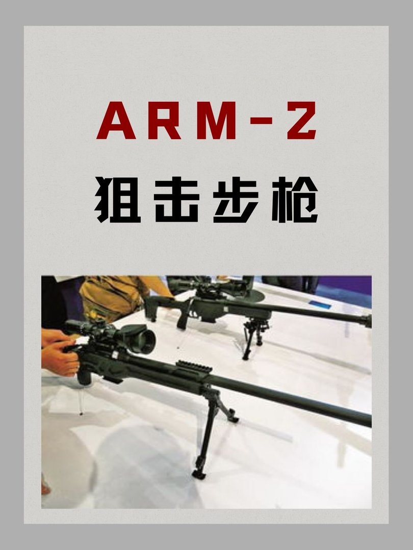我国ARM-2狙击步枪
