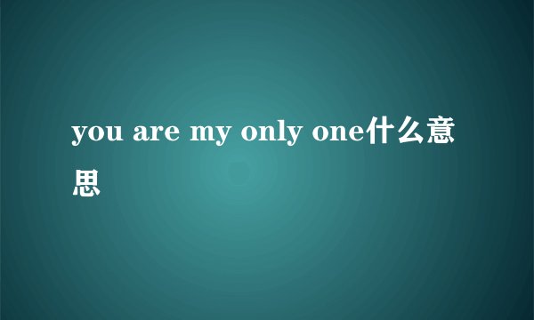 you are my only one什么意思