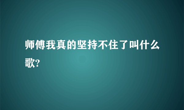 师傅我真的坚持不住了叫什么歌?