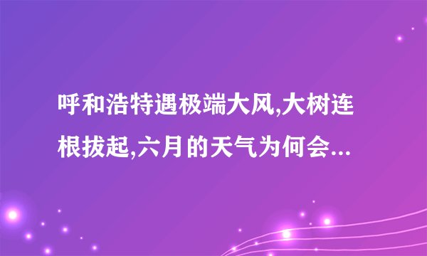 呼和浩特遇极端大风,大树连根拔起,六月的天气为何会如此异常?